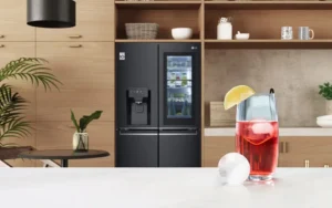 LG Best Refrigerator